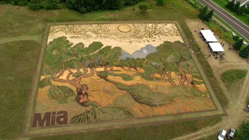 land-art-painting-field-van-gogh-olive-trees-stan-herd-12_bored panda
